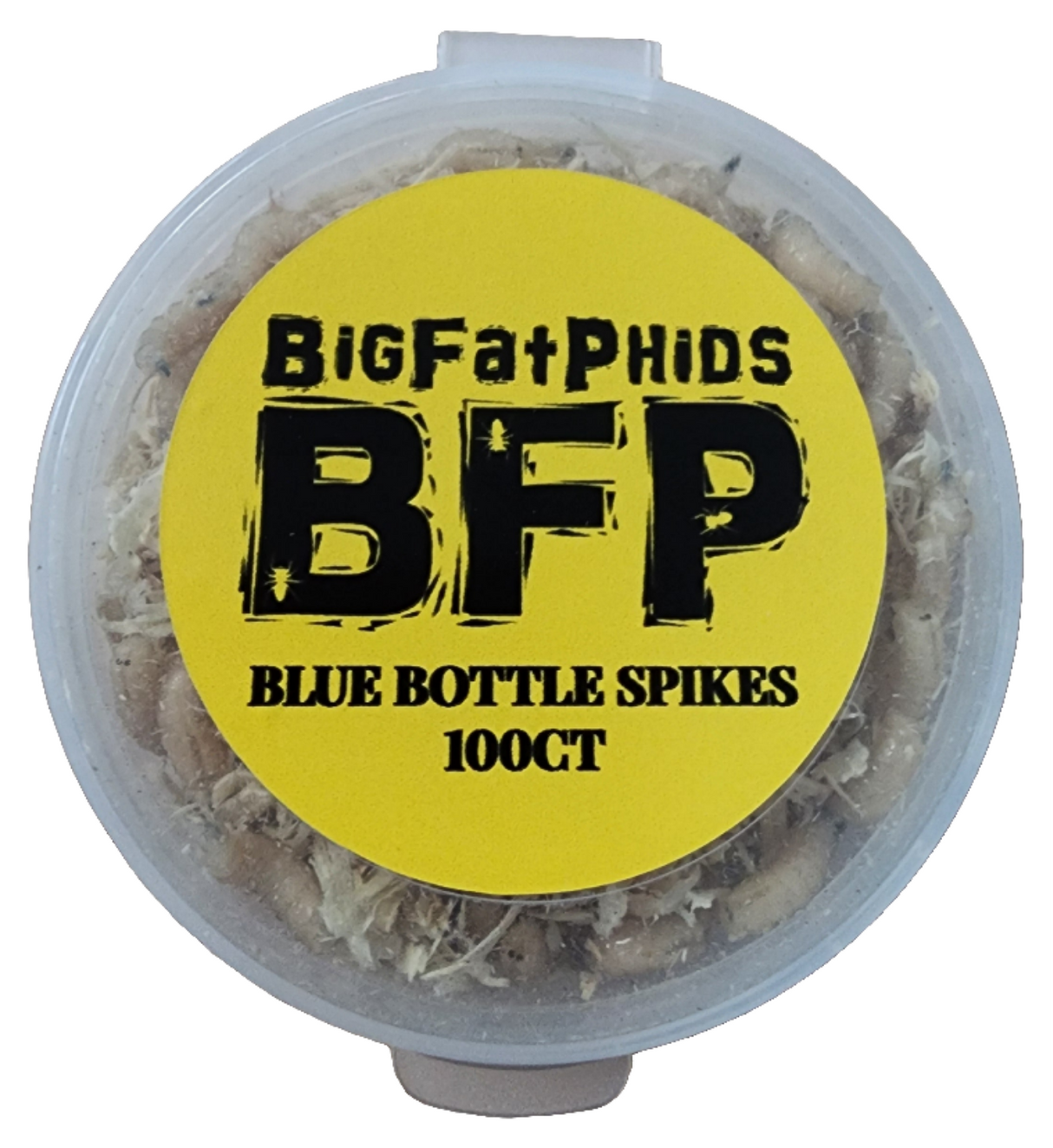 Our 100-pack of Blue Bottle spikes is a great choice of jumping spider food.