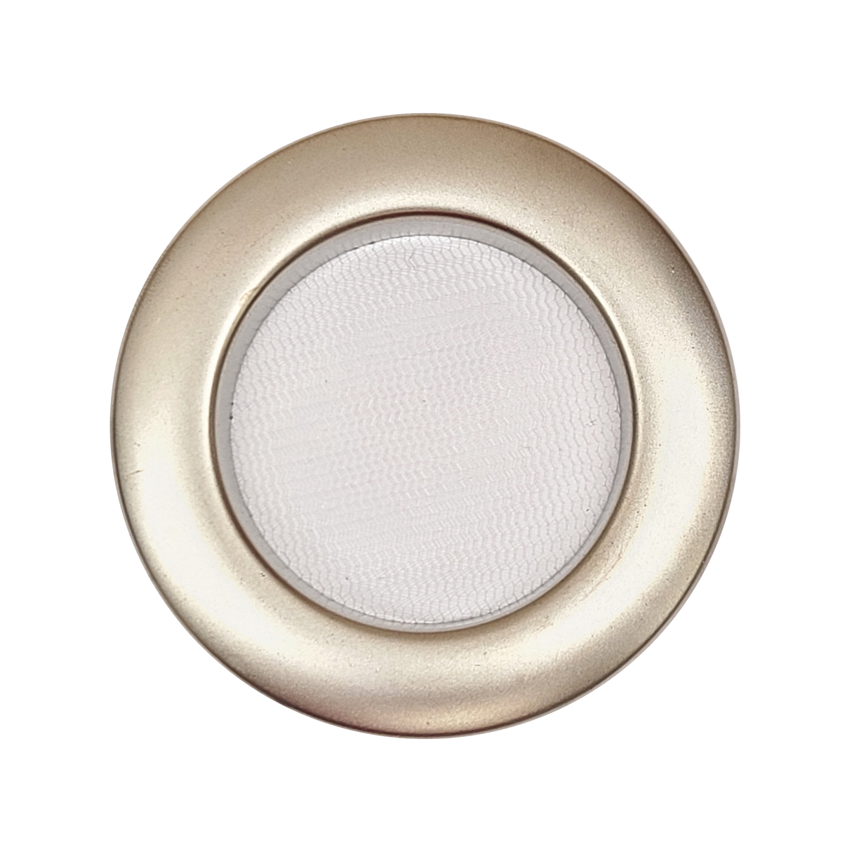 Den Flat Top 4x4x4 Jumping Spider Enclosure (holds fruit flies)