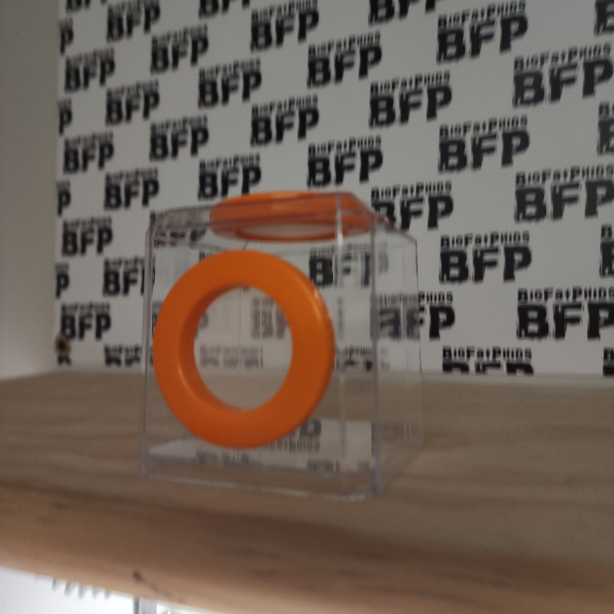 Mini Den Dual Vent 3x3x3 Jumping Spider Enclosure (holds fruit flies)