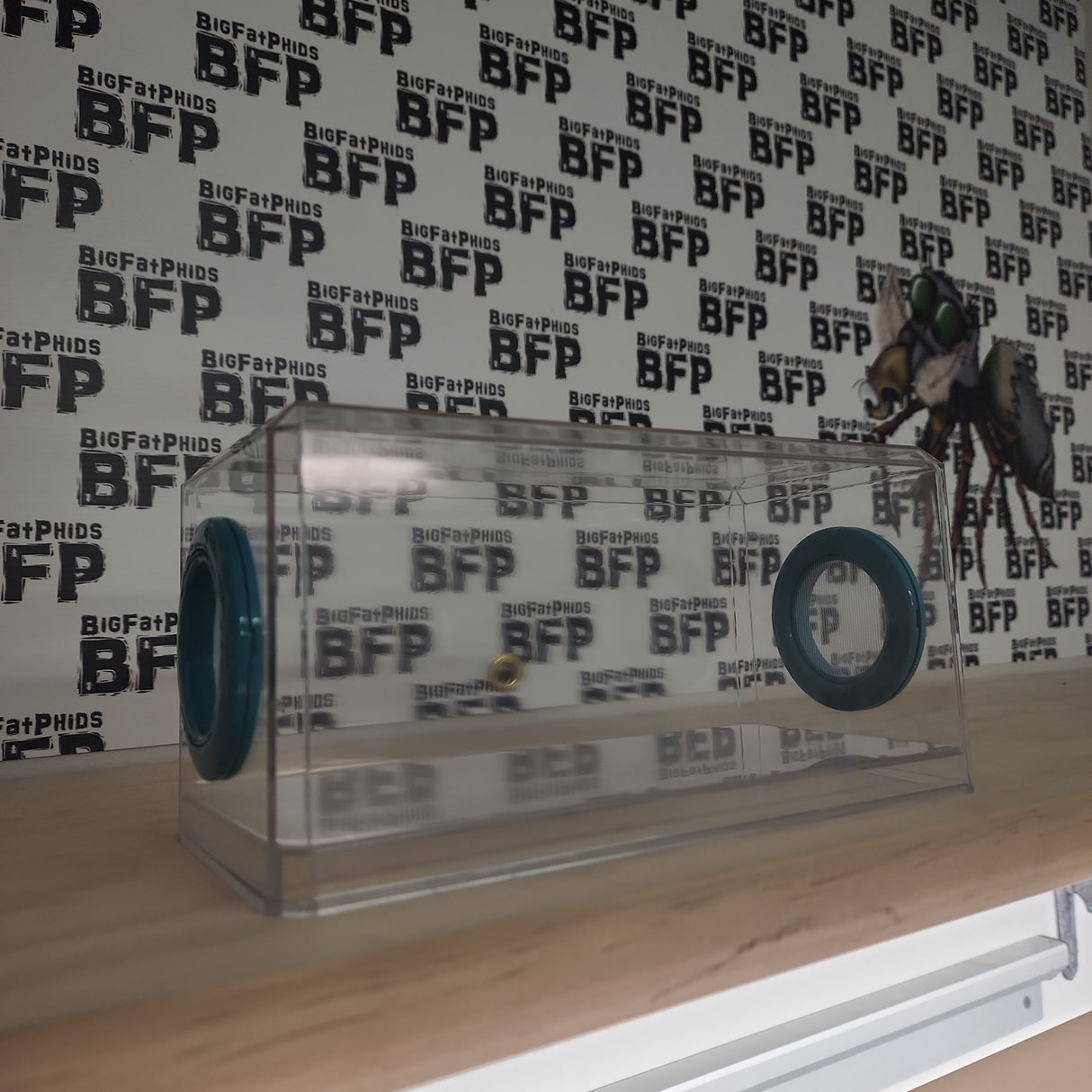 Phid Flat Sling Nursery Jumping Spider Enclosure 8.5x4x4(holds fruit flies)