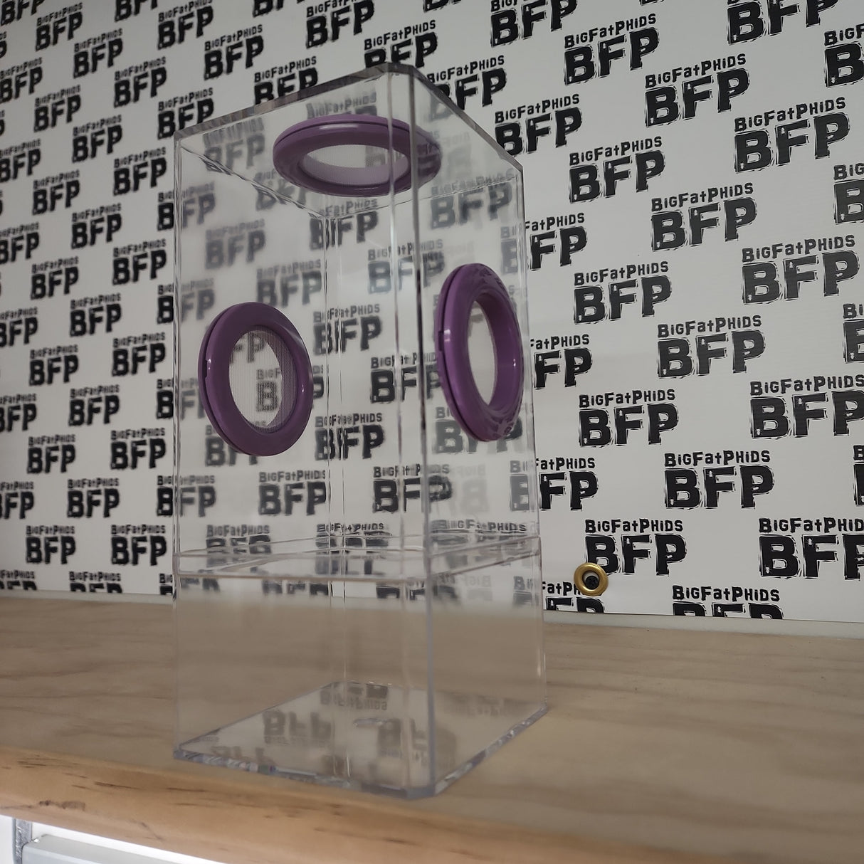 B-STOCK Flip Top Tri-Vent Spider Condo Jumping Spider Enclosure (holds Fruitflies)