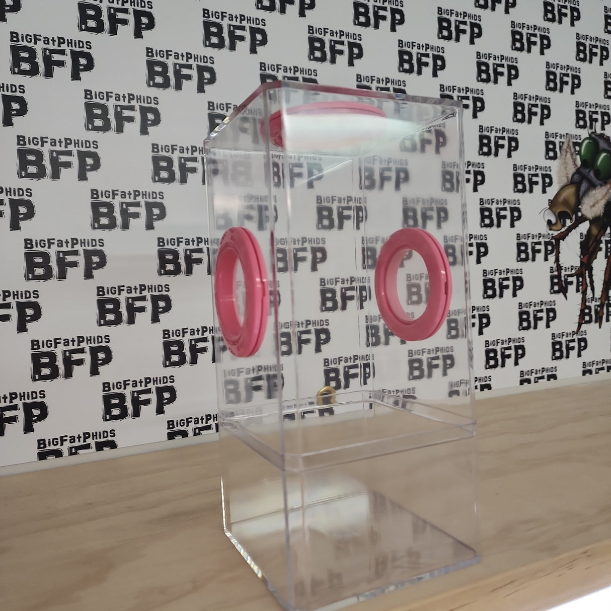 B-STOCK Flip Top Tri-Vent Spider Condo Jumping Spider Enclosure (holds Fruitflies)