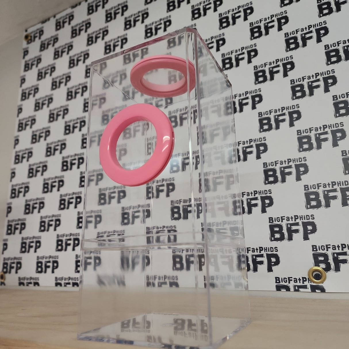 B-STOCK Flip Top Dual Vent Spider Condo Jumping Spider Enclosure (holds Fruitflies)