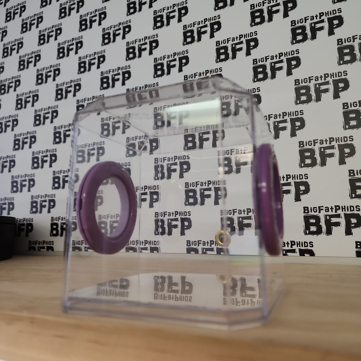 Den Flat Top 4x4x4 Jumping Spider Enclosure (holds fruit flies)