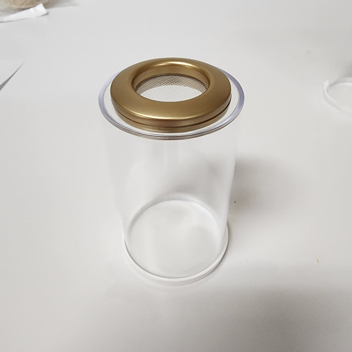 BFP Grow Cup 2x3.5" for small Jumping Spider slings (holds fruit flies)