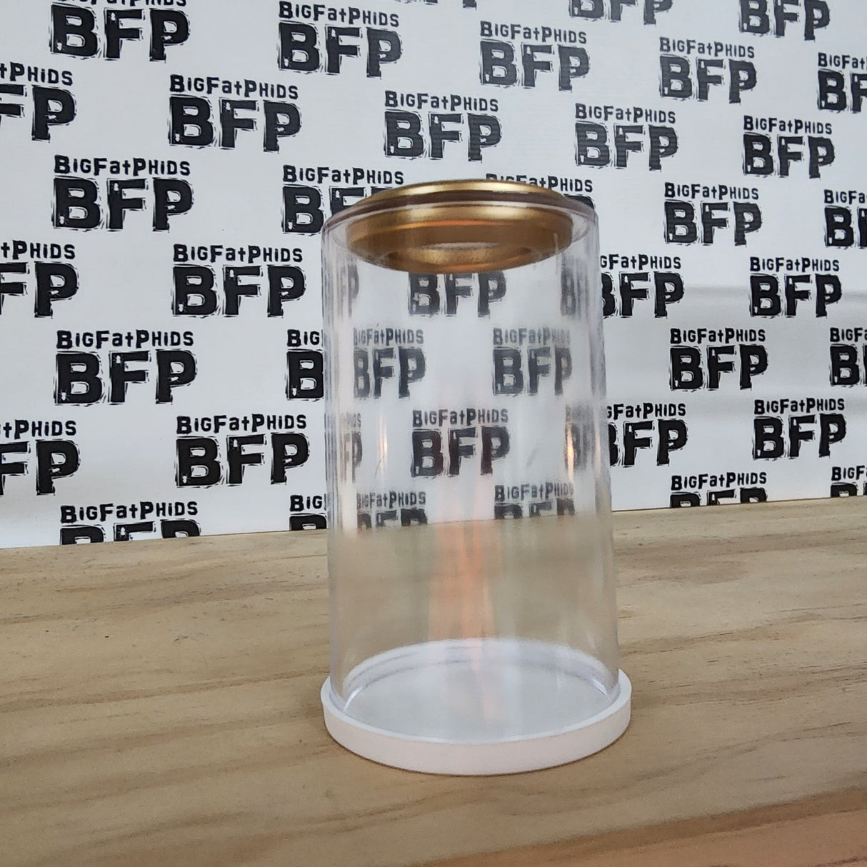 BFP Grow Cup 2x3.5" for small Jumping Spider slings (holds fruit flies)