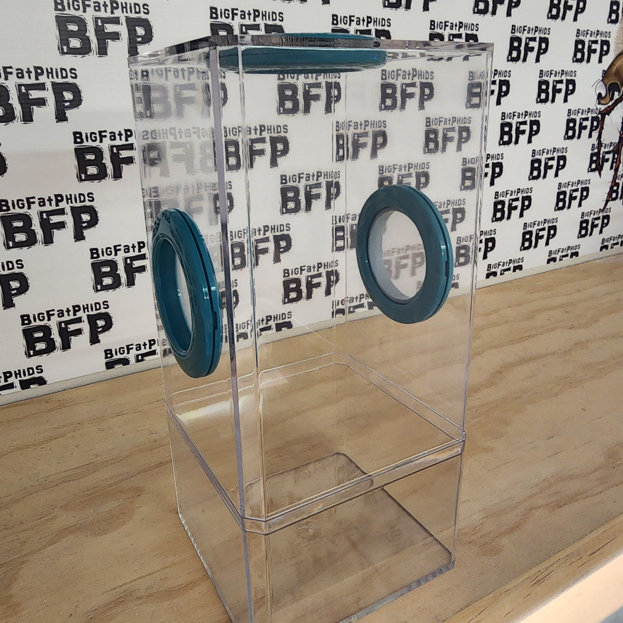 B-STOCK Flip Top Tri-Vent Spider Condo Jumping Spider Enclosure (holds Fruitflies)