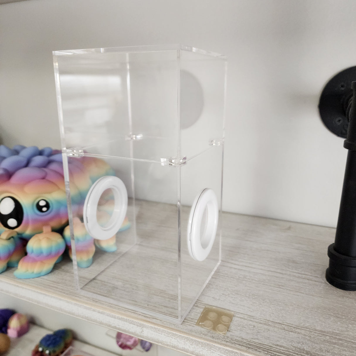 Medium Flat Top Magnetic 4x4x8 Jumping Spider Enclosure (holds fruit flies)