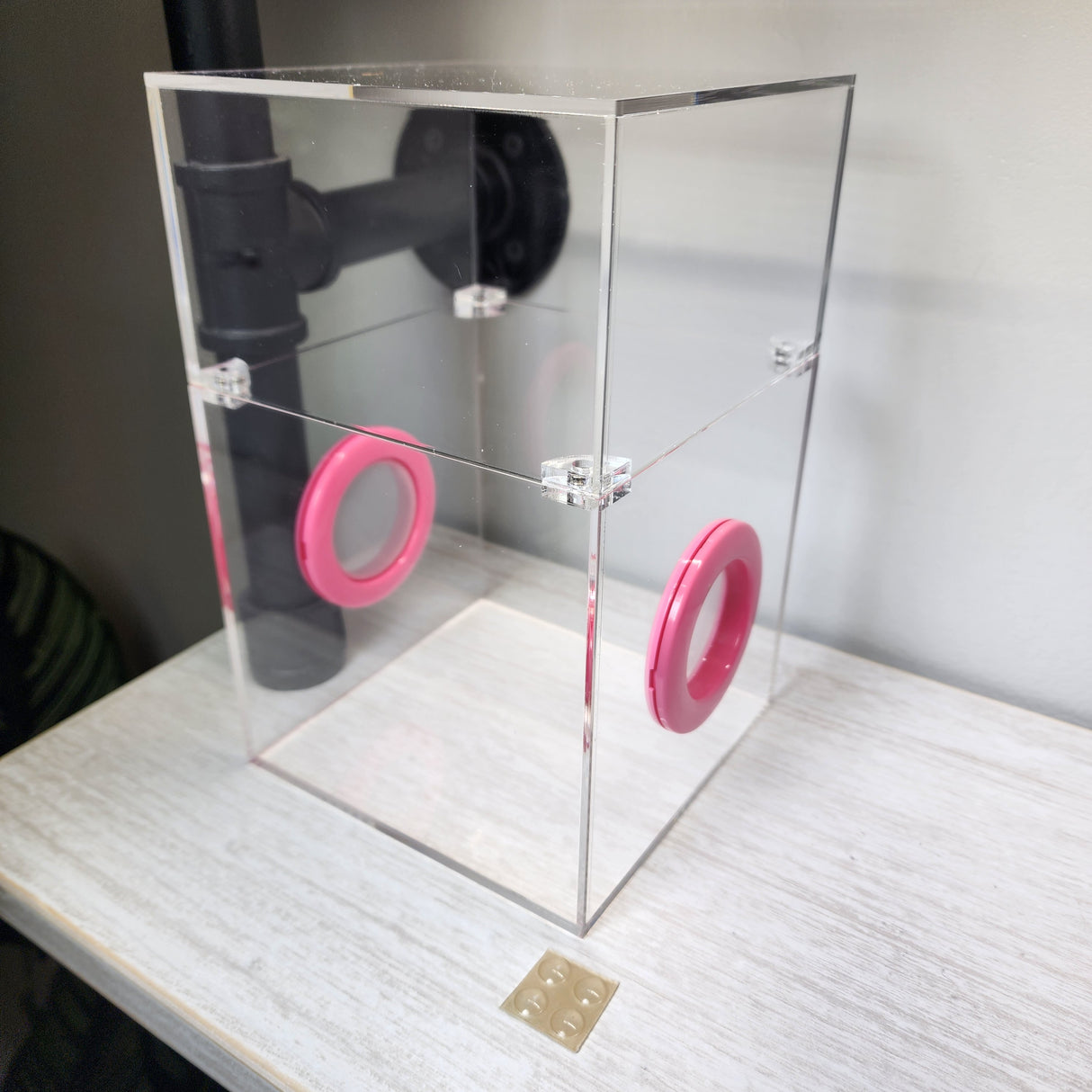 Large Flat Top Magnetic 5x5x8 Jumping Spider Enclosure (holds fruit flies)