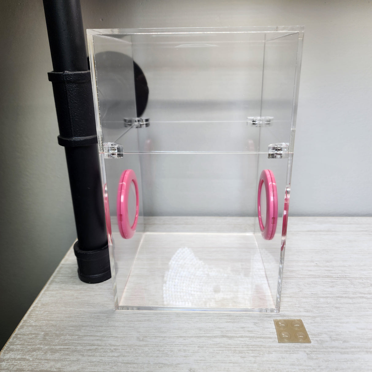 Large Flat Top Magnetic 5x5x8 Jumping Spider Enclosure (holds fruit flies)