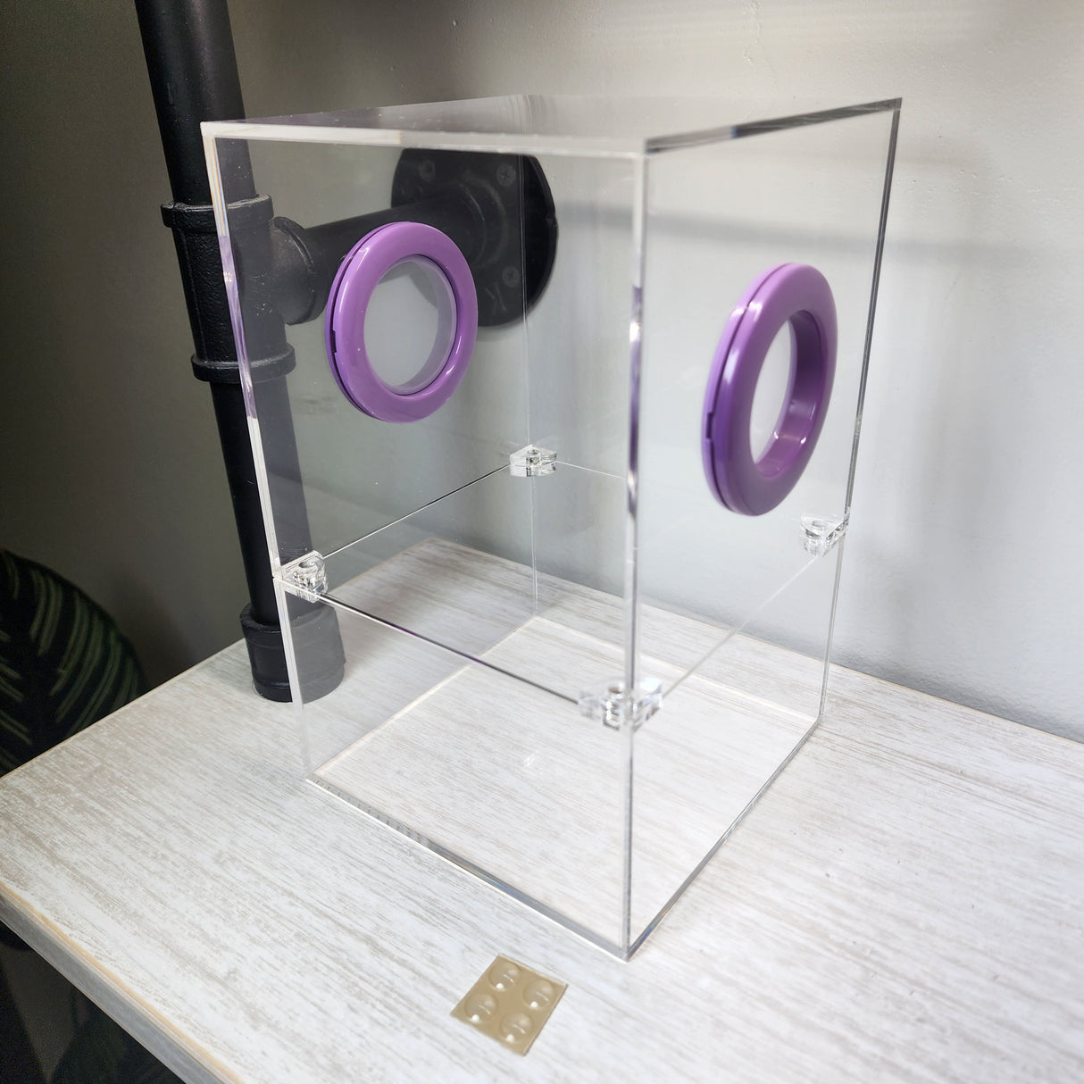 Large Flat Top Magnetic 5x5x8 Jumping Spider Enclosure (holds fruit flies)