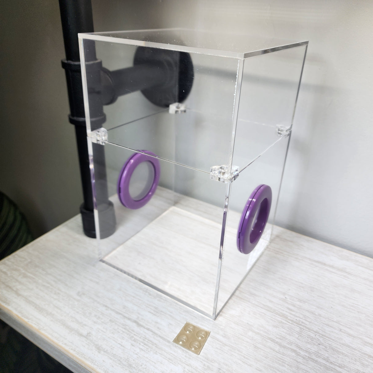 Large Flat Top Magnetic 5x5x8 Jumping Spider Enclosure (holds fruit flies)