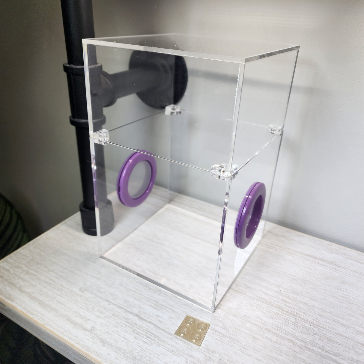 Large Flat Top Magnetic 5x5x8 Jumping Spider Enclosure (holds fruit flies)