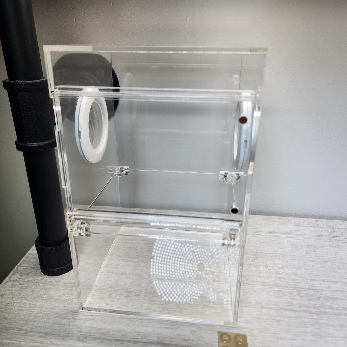 Large Flat Top Magnetic 5x5x8 Front Opening Jumping Spider Enclosure