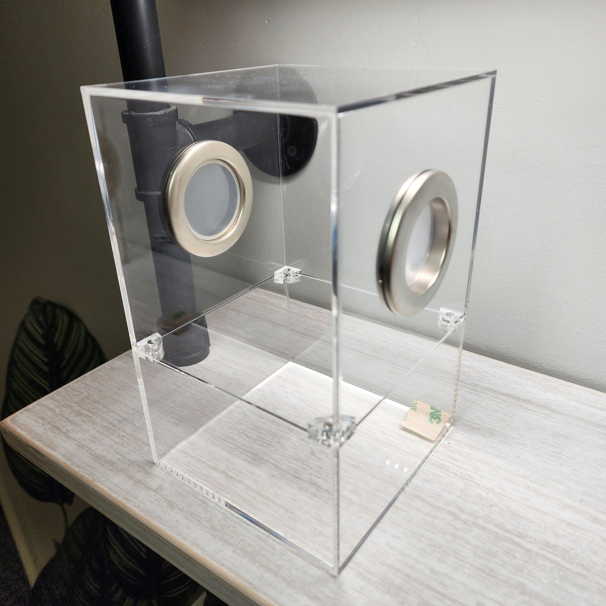 Large Flat Top Magnetic 5x5x8 Jumping Spider Enclosure (holds fruit flies)