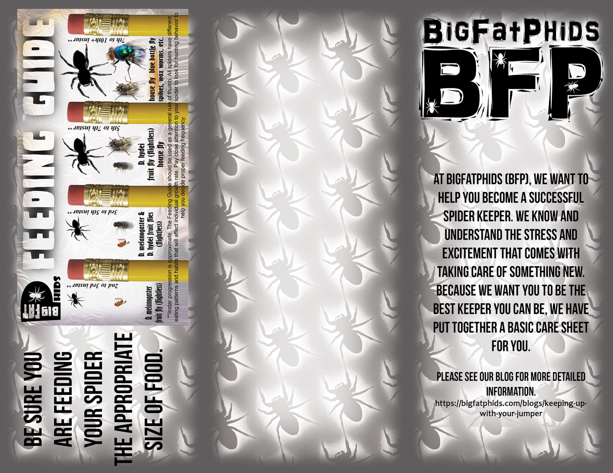 Blue Bottle Spikes 1,000 Pack Includes 6 Ice Brix