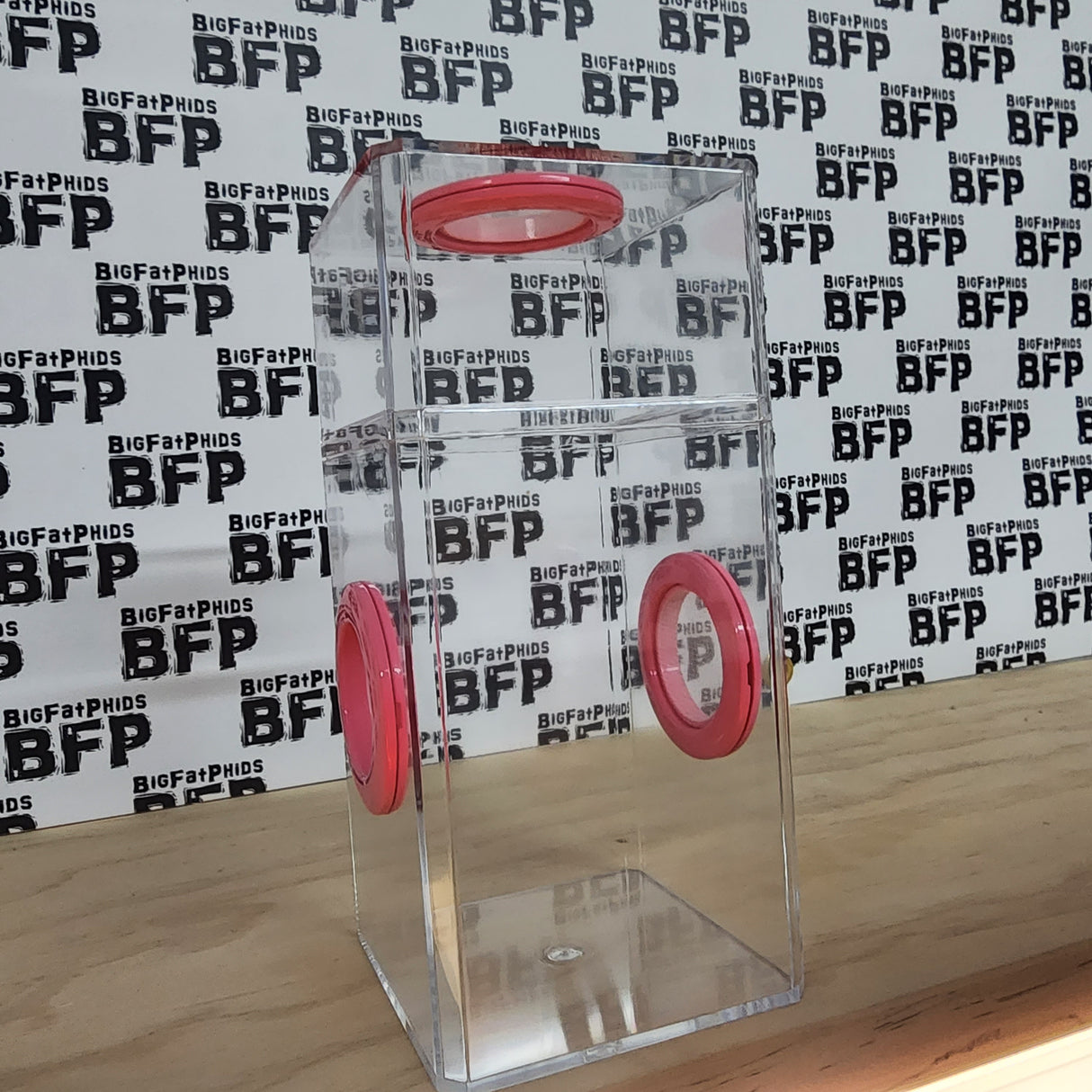 Classic Dual Vent Jumping Spider Enclosure with pink Grommets and Micro Mesh jumping spider enclosure for adult jumping spiders.