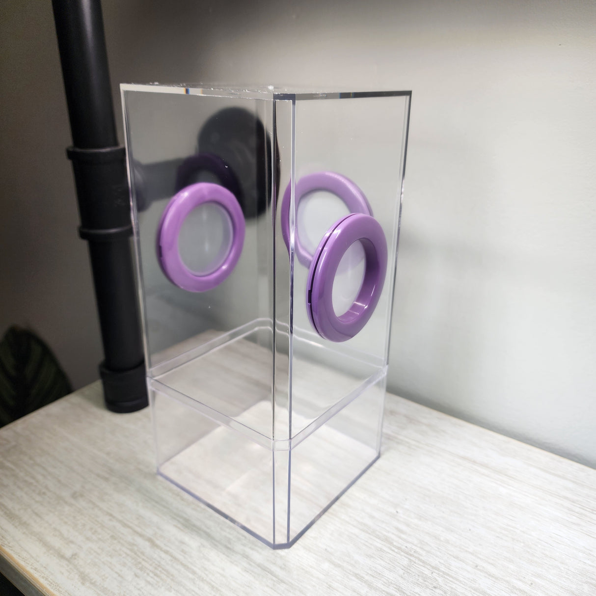 B-STOCK Flat Top Tri Vent Spider Condo Jumping Spider Enclosure (holds fruit flies)