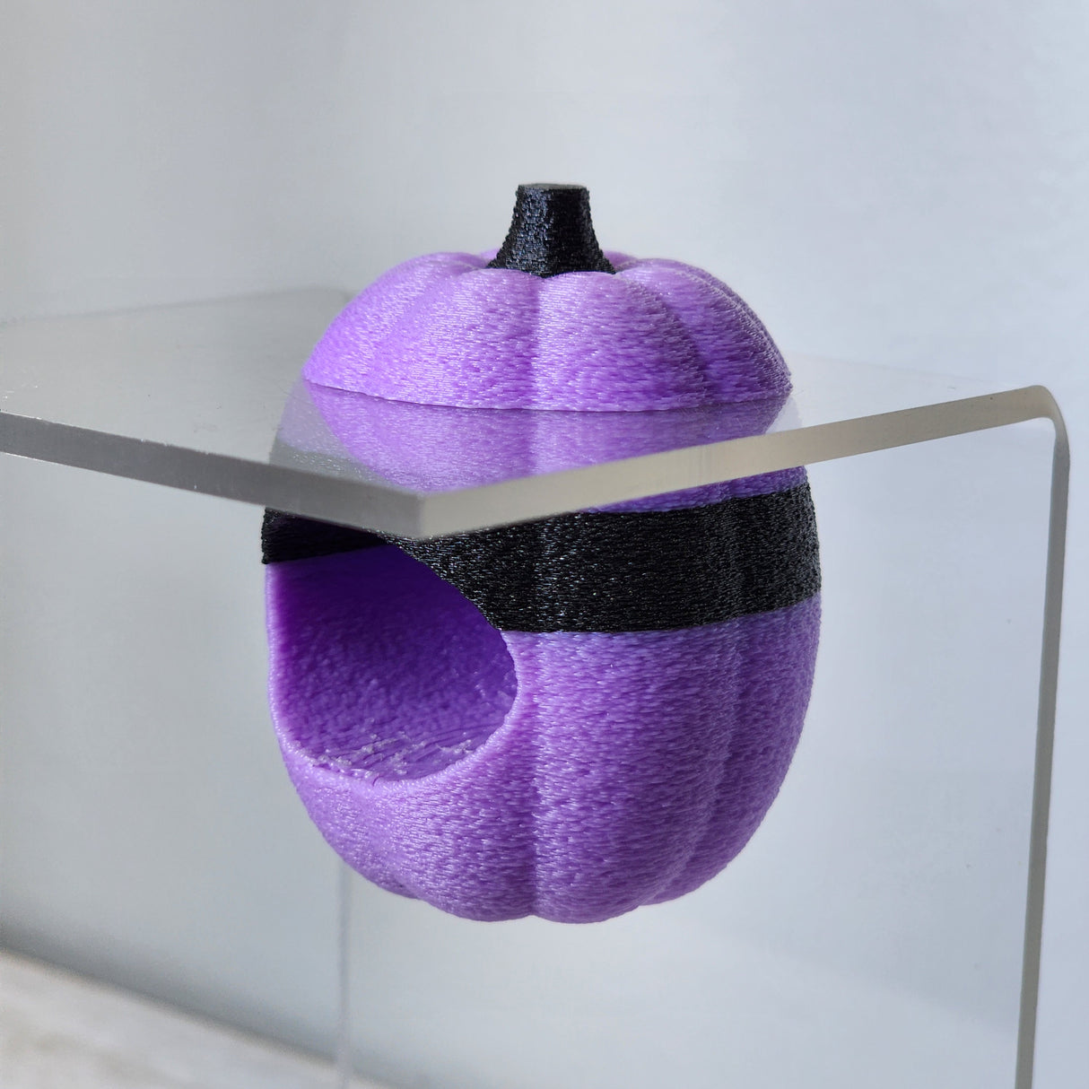 Screaming Pumpkin nesting hides for Jumping Spiders