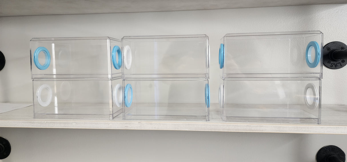 Phid Flat Sling Nursery Jumping Spider Enclosure 8.5x4x4(holds fruit flies)