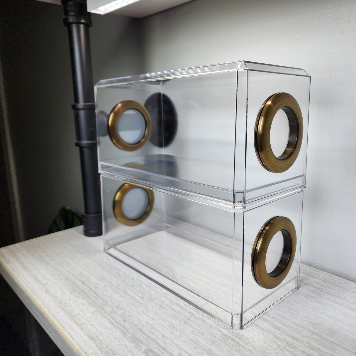 Phid Flat Sling Nursery Jumping Spider Enclosure 8.5x4x4(holds fruit flies)