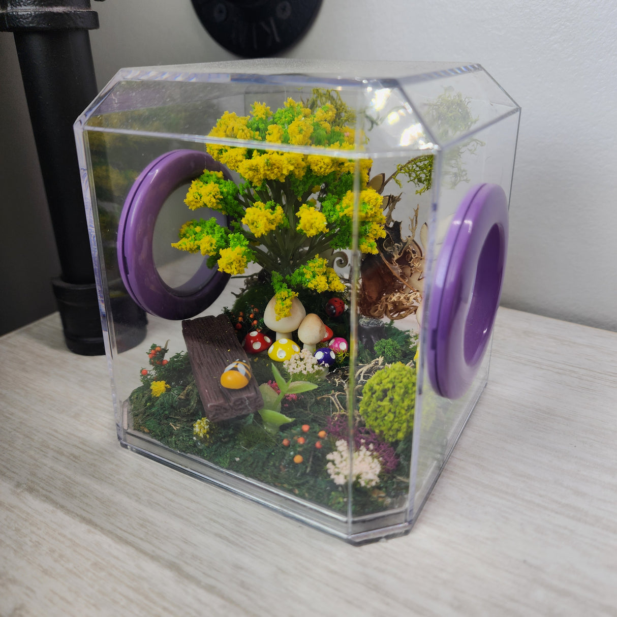 Den Flat Top 4x4x4 Jumping Spider Enclosure (holds fruit flies)