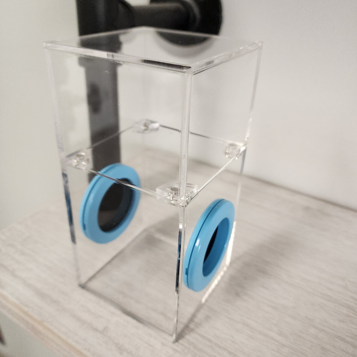 Medium Flat Top Magnetic 4x4x8 Jumping Spider Enclosure (holds fruit flies)