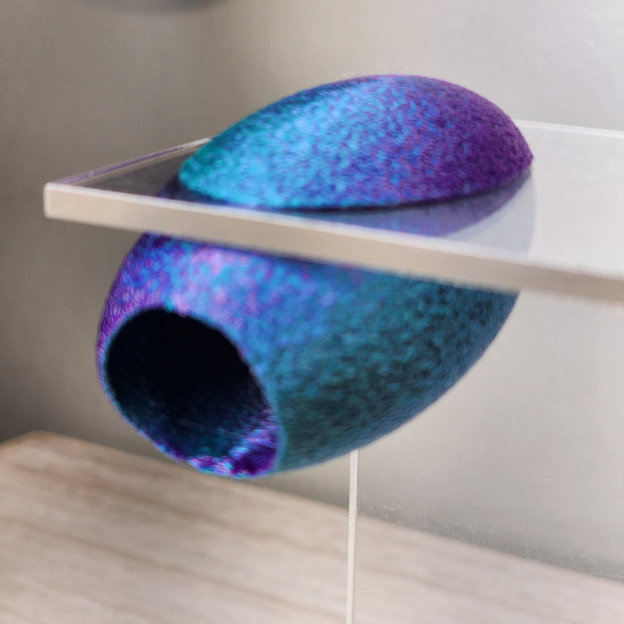 Fuzzy Cacoon Jumping Spider HIdes in 2 sizes and several colors.