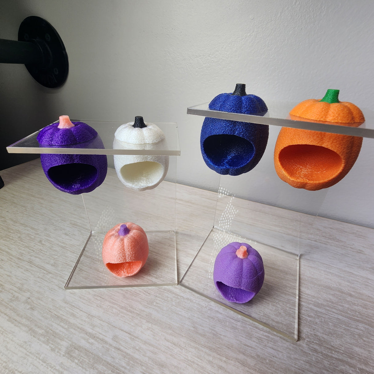 Baby Pumpkin Nesting Hides for Jumping Spiders