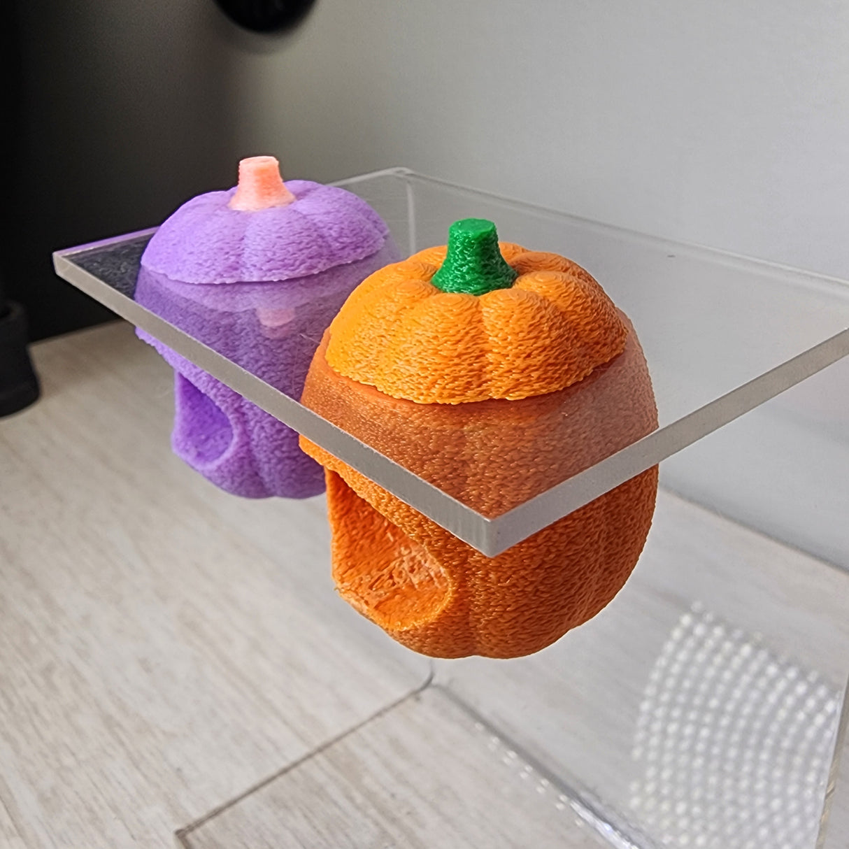 Baby Pumpkin Nesting Hides for Jumping Spiders