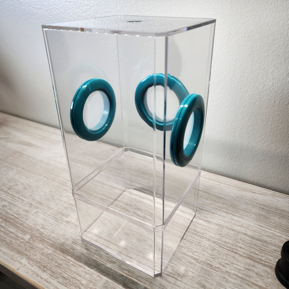 B-STOCK Flat Top Tri Vent Spider Condo Jumping Spider Enclosure (holds fruit flies)