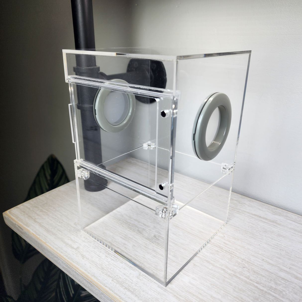 Large Flat Top Magnetic 5x5x8 Front Opening Jumping Spider Enclosure