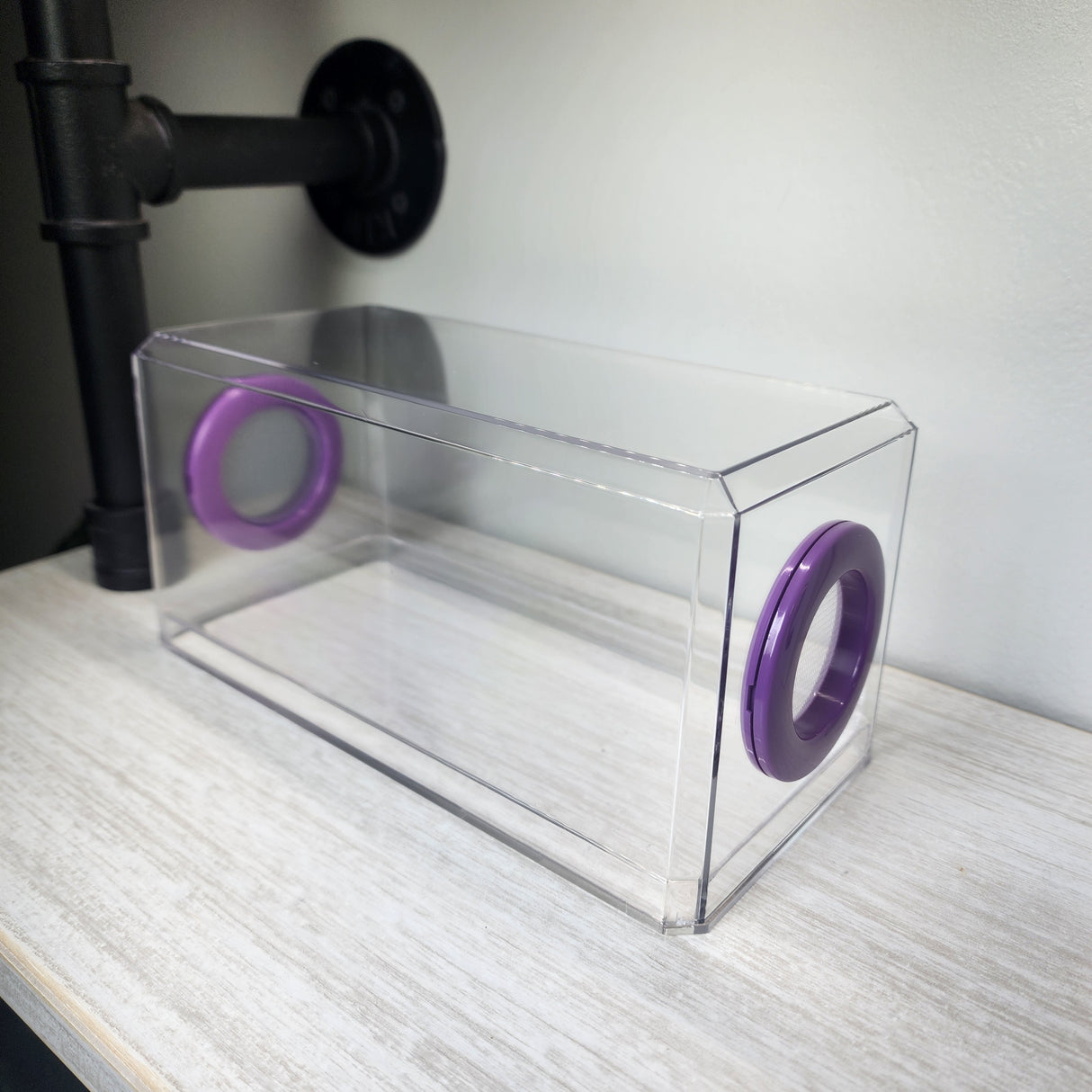 Phid Flat Sling Nursery Jumping Spider Enclosure 8.5x4x4(holds fruit flies)