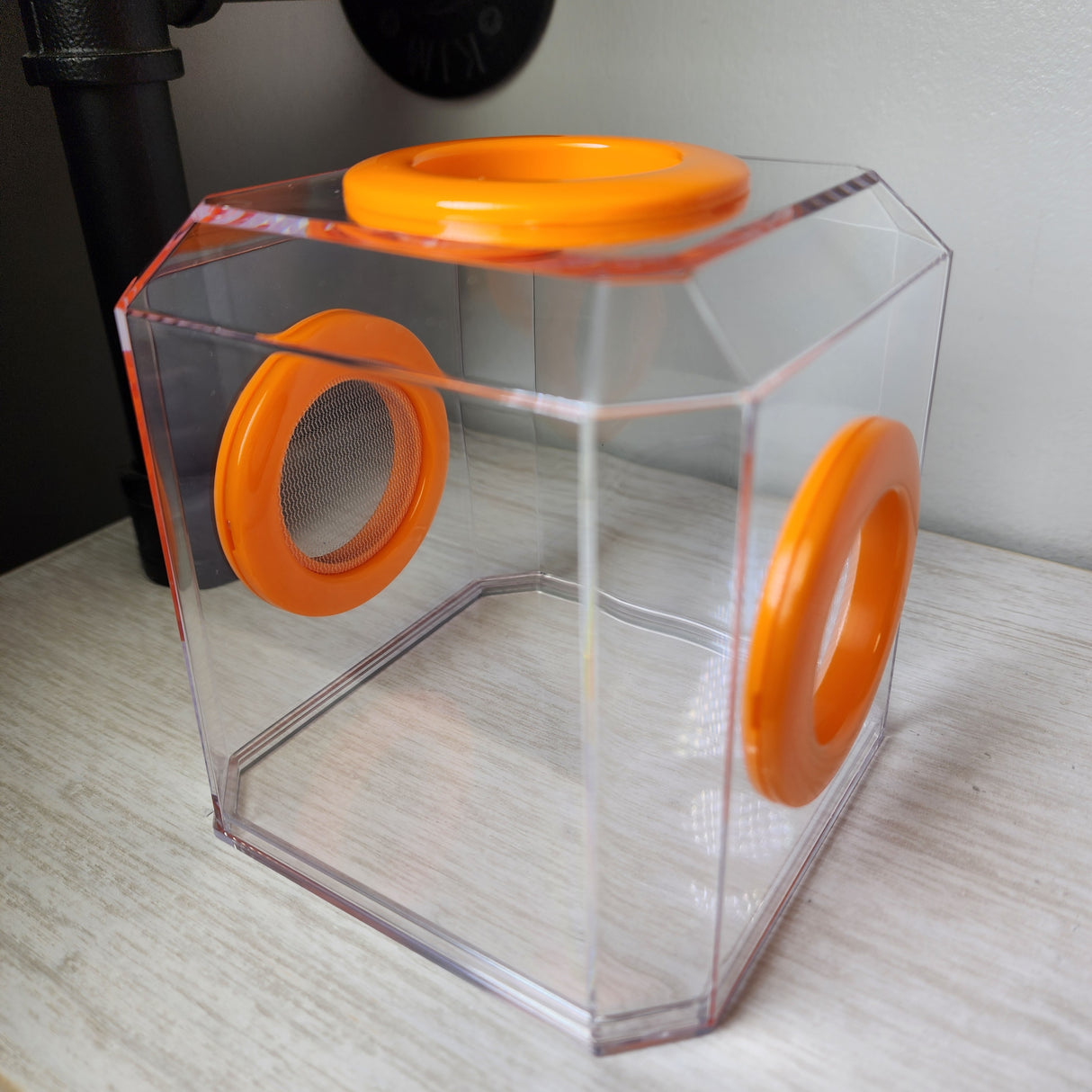 Den Tri Vent 4x4x4 Jumping Spider Enclosure (holds fruit flies)