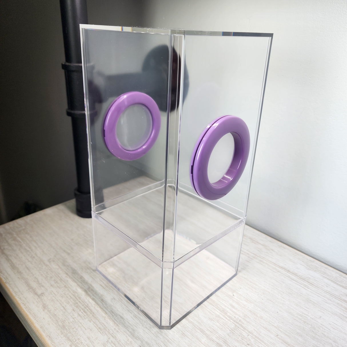 B-STOCK Flat-Top Dual Vent Spider Condo Jumping Spider Enclosure (holds fruit flies)