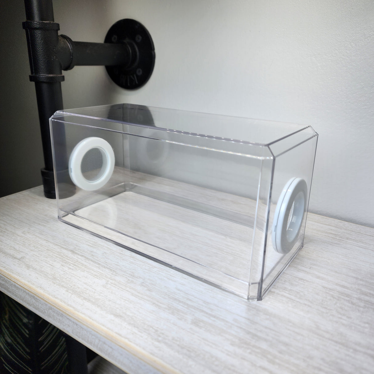 BFP Stinger Stackable Jumping Spider Sling Nursery(holds fruit flies.