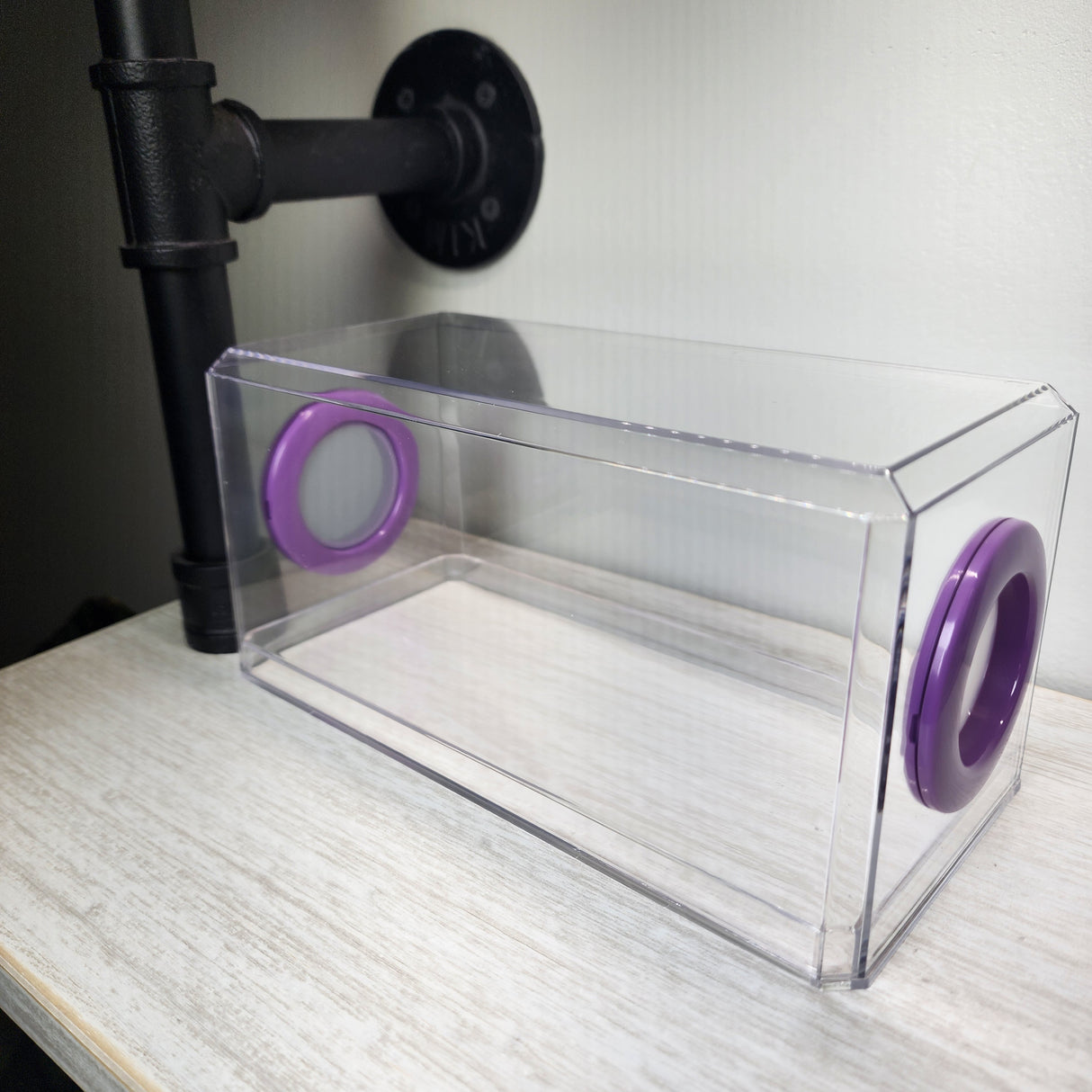 Phid Flat Sling Nursery Jumping Spider Enclosure 8.5x4x4(holds fruit flies)