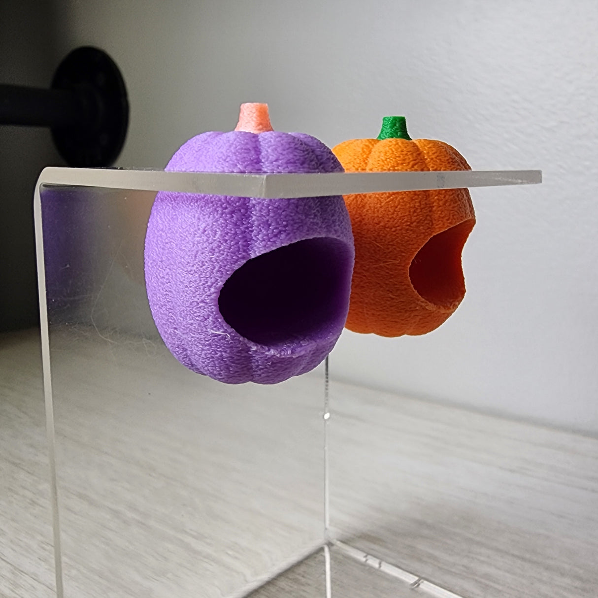 Baby Pumpkin Nesting Hides for Jumping Spiders