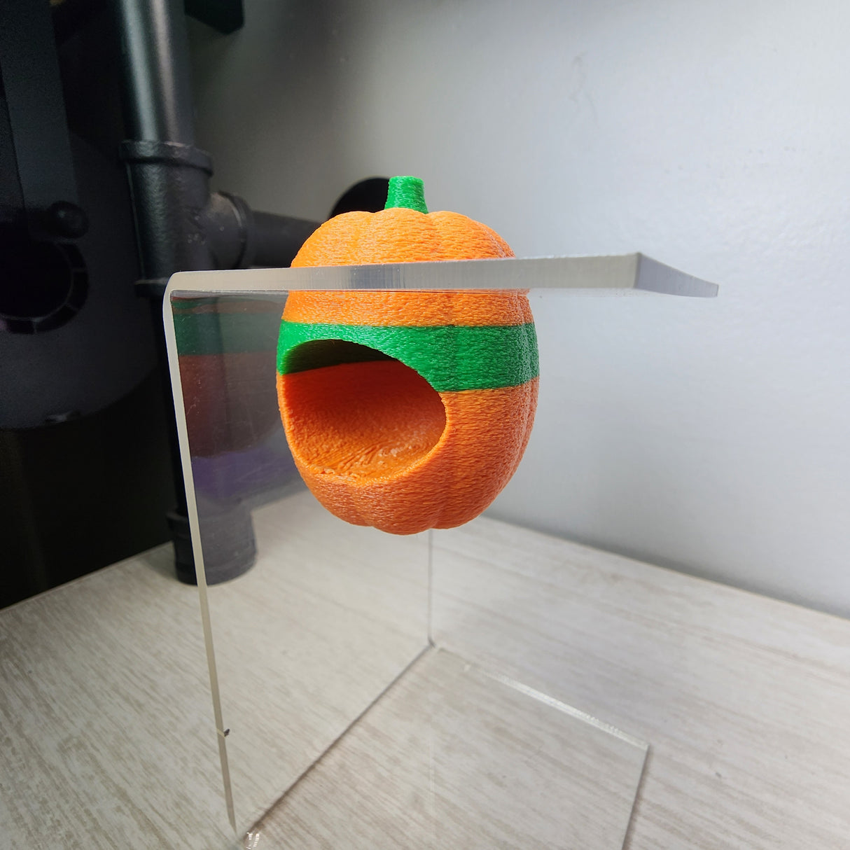 Screaming Pumpkin nesting hides for Jumping Spiders