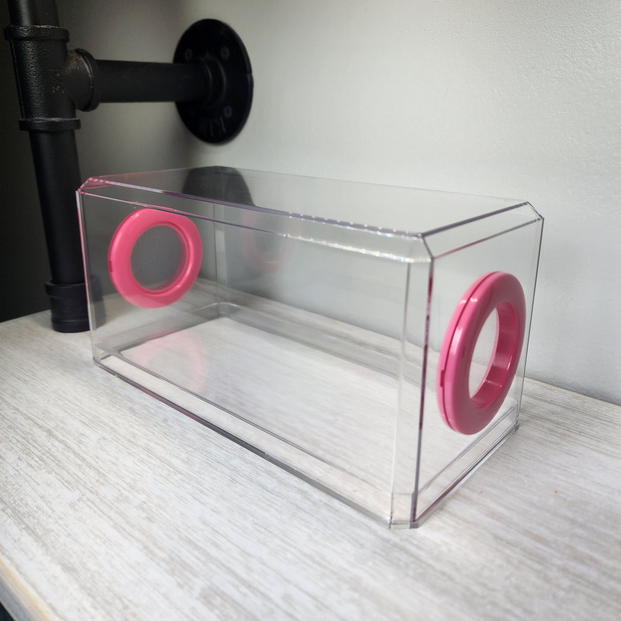 Phid Flat Sling Nursery Jumping Spider Enclosure 8.5x4x4(holds fruit flies)