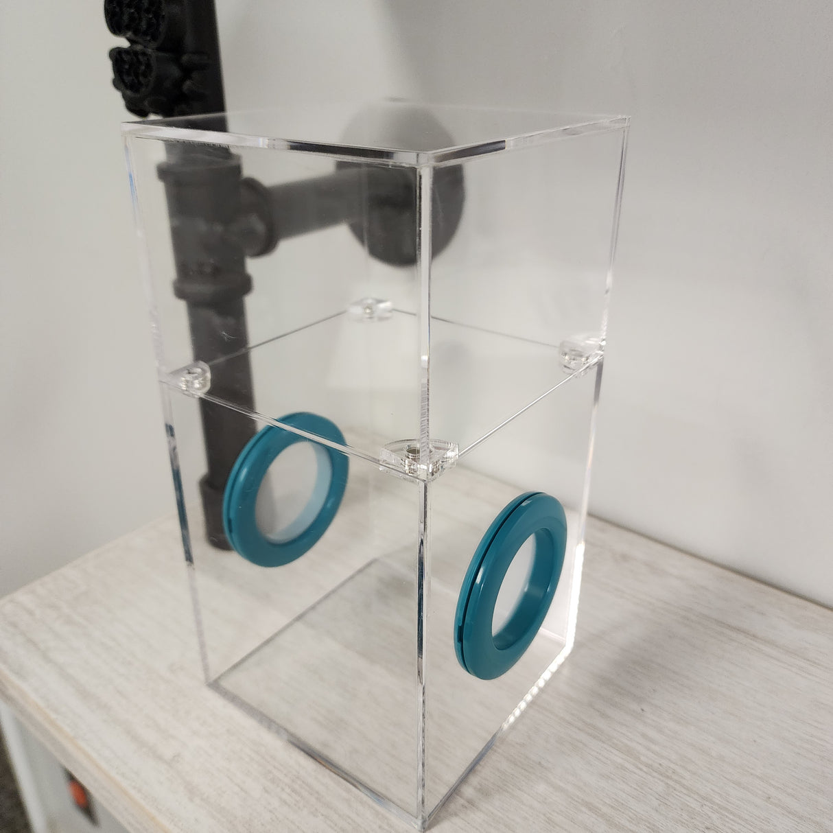 Medium Flat Top Magnetic 4x4x8 Jumping Spider Enclosure (holds fruit flies)