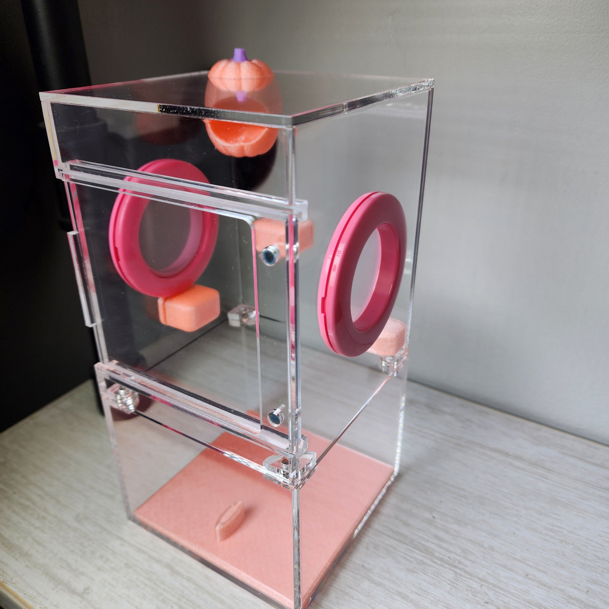 Medium Flat Top 4x4x8 Magnetic Front Opening Jumping Spider Enclosure NEW