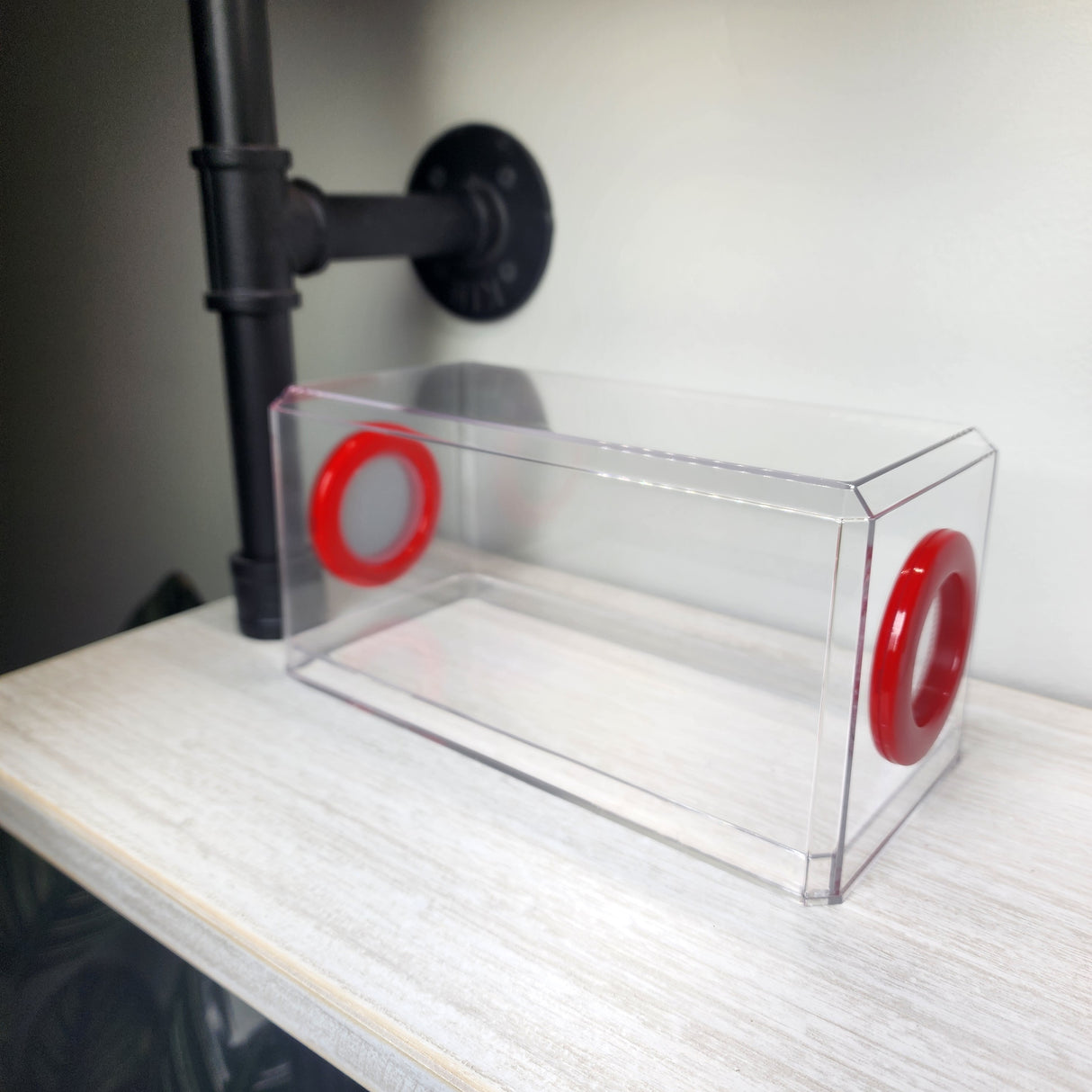 Phid Flat Sling Nursery Jumping Spider Enclosure 8.5x4x4(holds fruit flies)