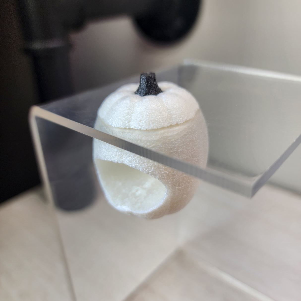 Baby Pumpkin Nesting Hides for Jumping Spiders