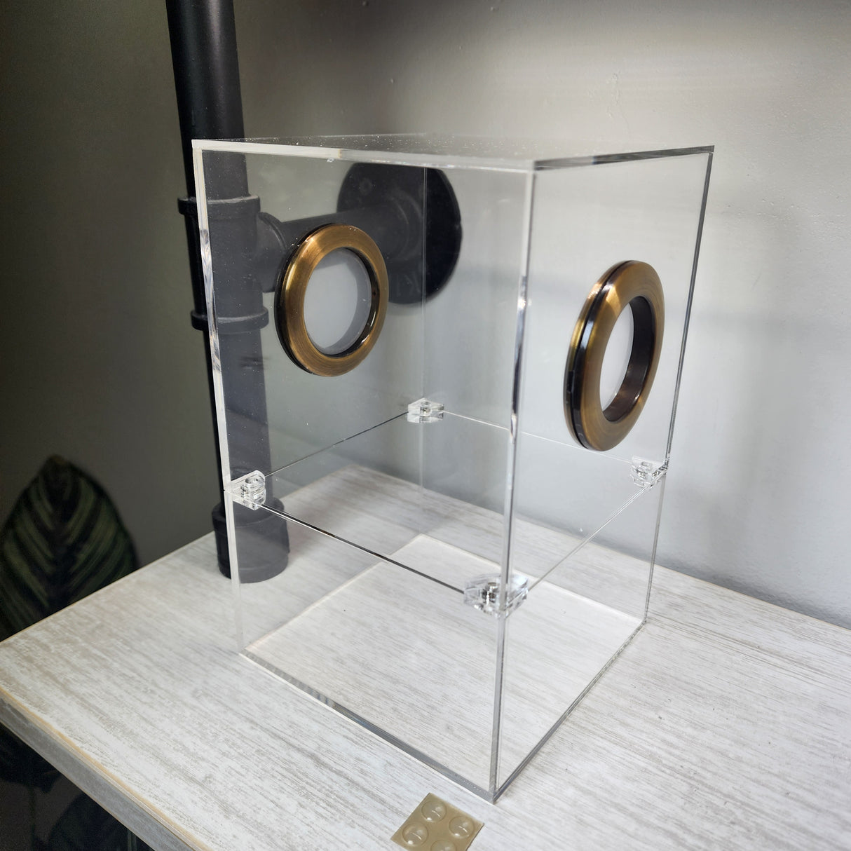 Large Flat Top Magnetic 5x5x8 Jumping Spider Enclosure (holds fruit flies)