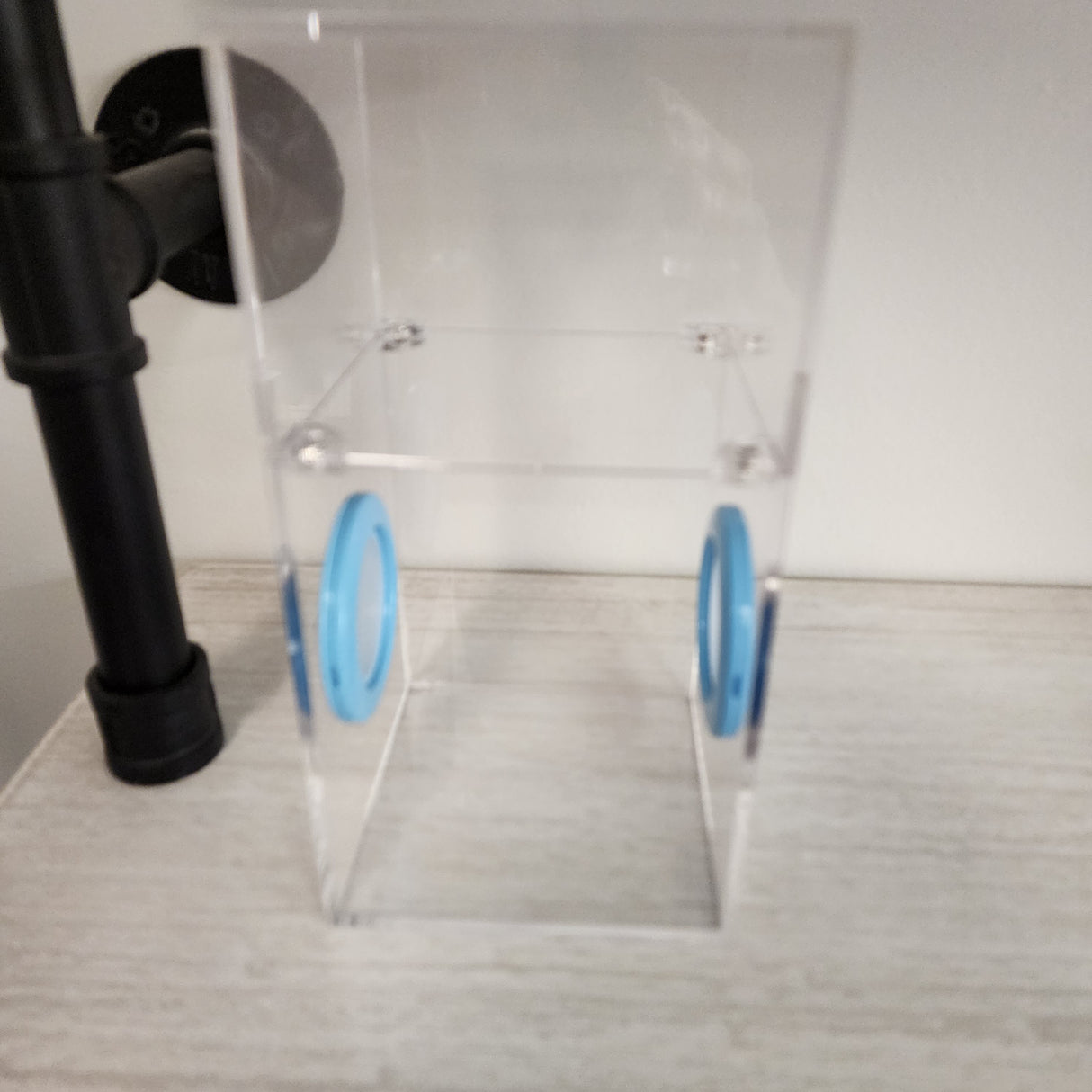 Medium Flat Top Magnetic 4x4x8 Jumping Spider Enclosure (holds fruit flies)