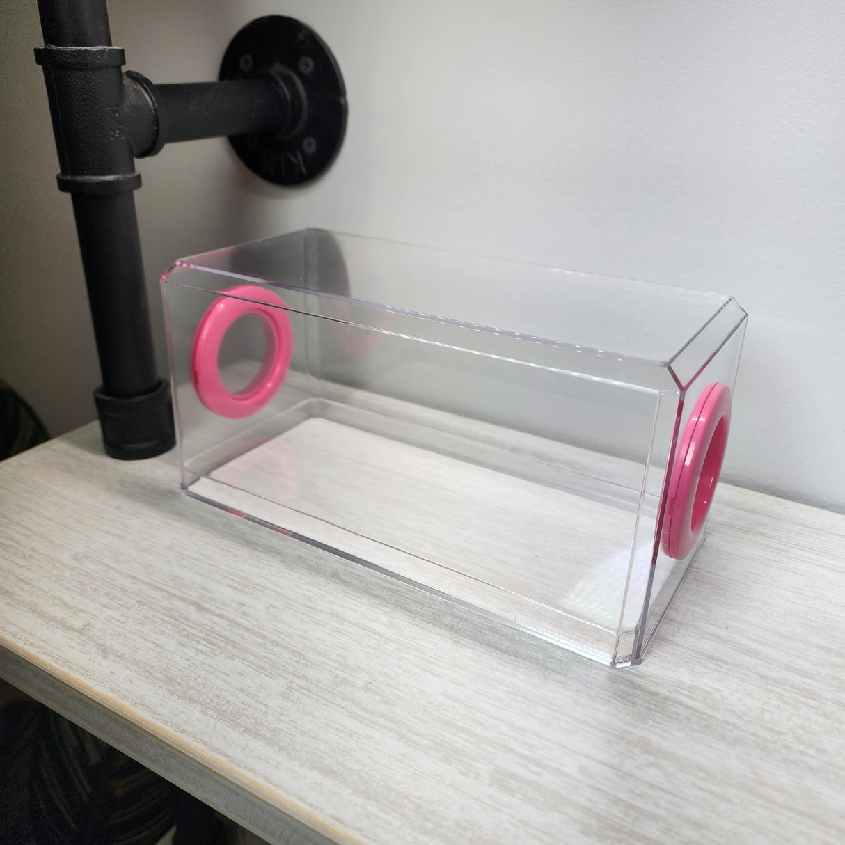 Phid Flat Sling Nursery Jumping Spider Enclosure 8.5x4x4(holds fruit flies)