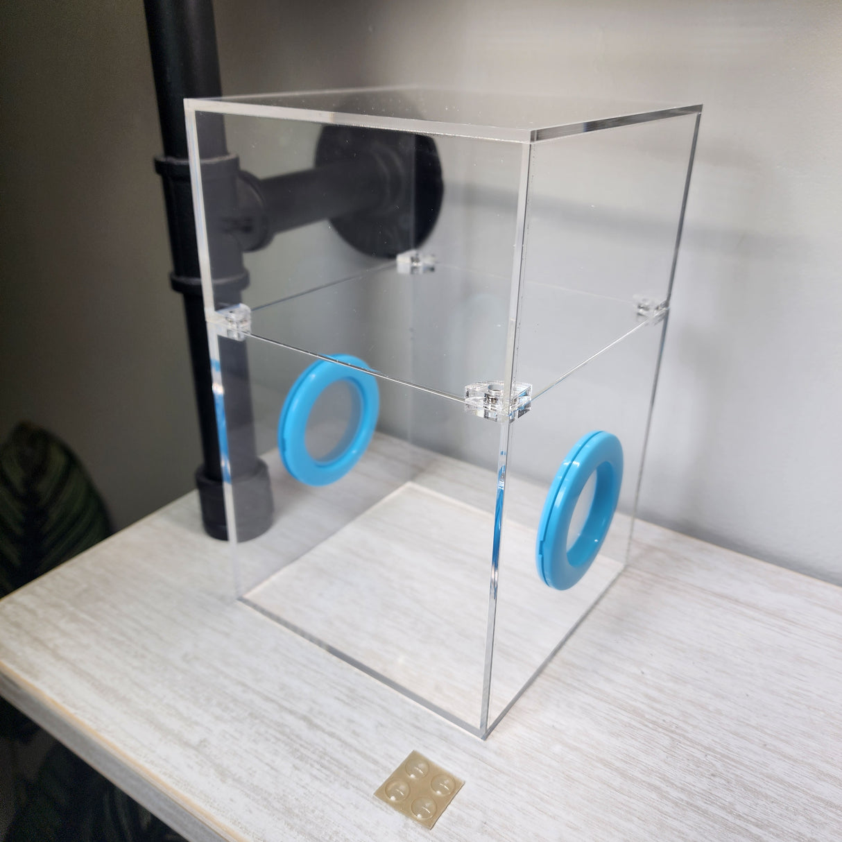 Large Flat Top Magnetic 5x5x8 Jumping Spider Enclosure (holds fruit flies)