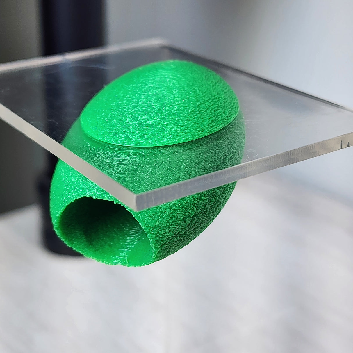 Fuzzy Cacoon Jumping Spider HIdes in 2 sizes and several colors.