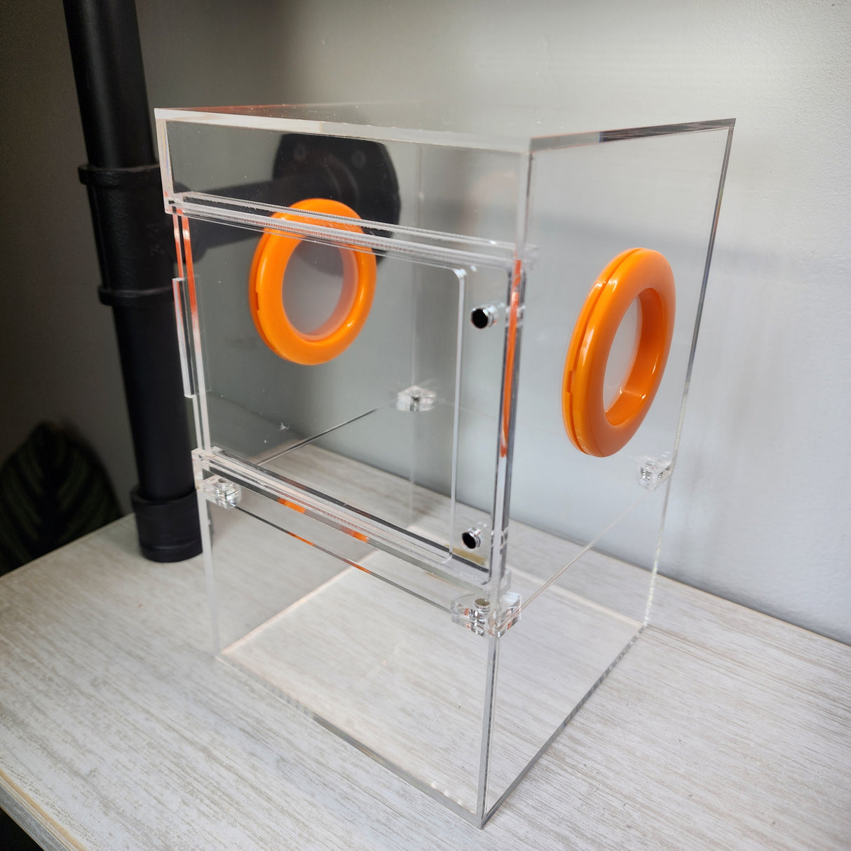 Large Flat Top Magnetic 5x5x8 Front Opening Jumping Spider Enclosure